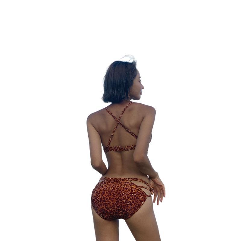 Leopard Print Swimsuit