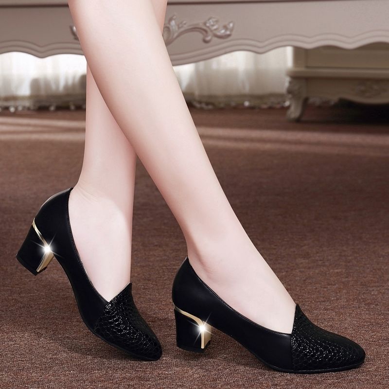 Pointed Middle Thick Heel Shoes