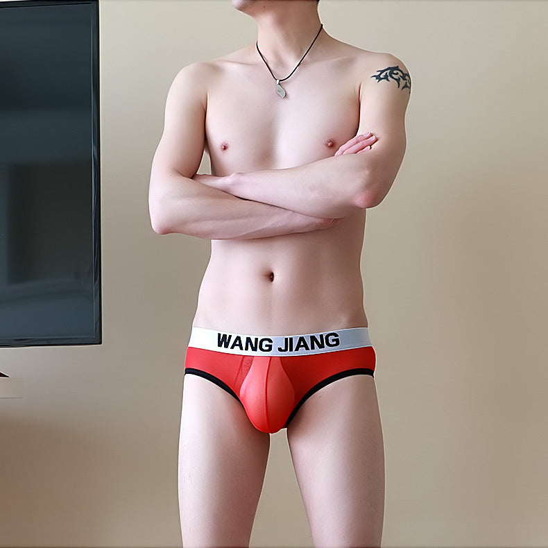 Breathable Mesh Men's Triangle Underwear