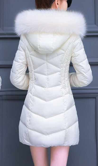 Women Slim Thick Korean Down Padded Jacket