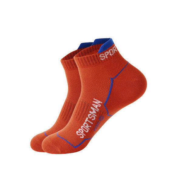 Thin Solid Color sock