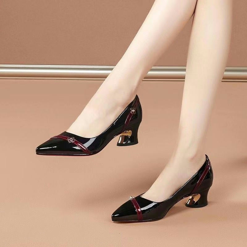 Thick Heels Pointed Toe