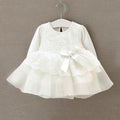 Baby clothing lace princess dress dress