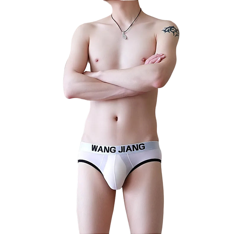Breathable Mesh Men's Triangle Underwear
