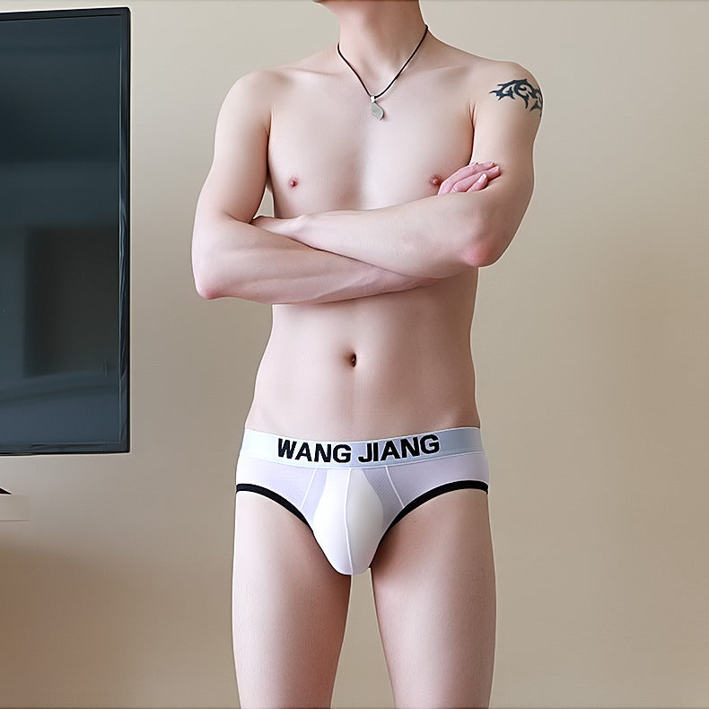 Breathable Mesh Men's Triangle Underwear