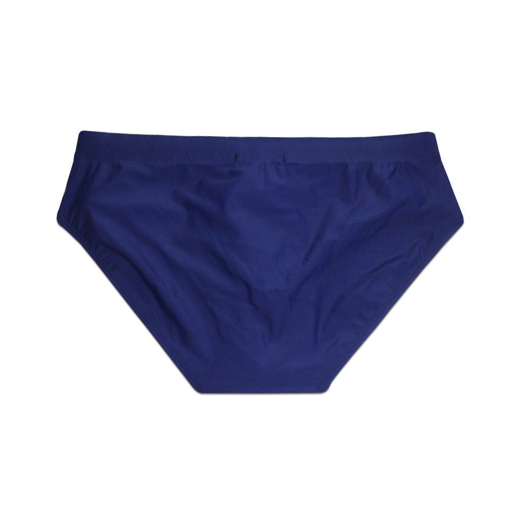 Briefs