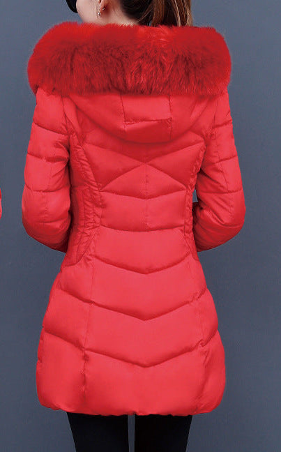 Women Slim Thick Korean Down Padded Jacket