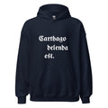 Drop-shoulder Sleeve Casual Sports Hoodie Sweater