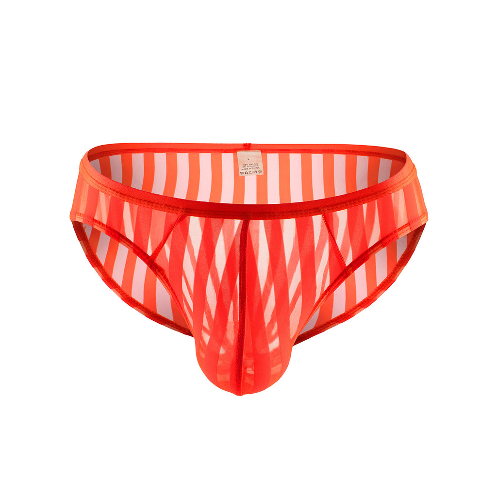Stripes Transparent Mesh Briefs