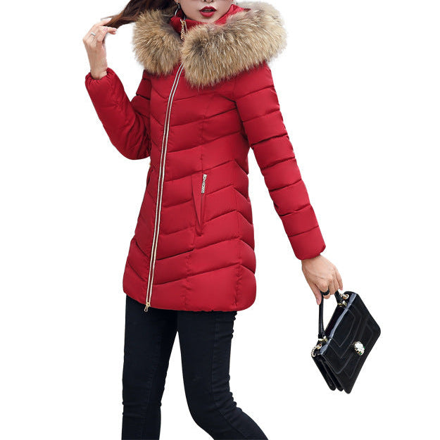 Fur collar down cotton