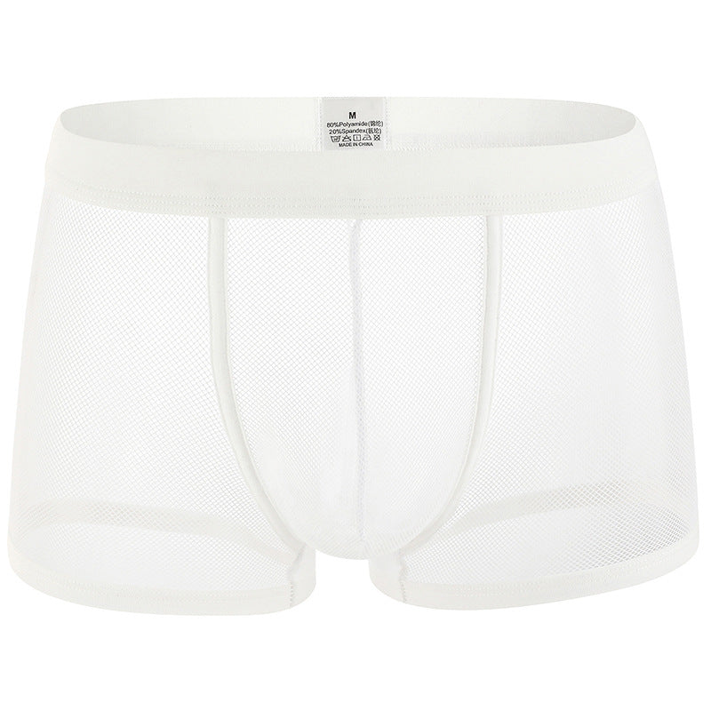 Men's Underwear Low Waist Transparent Boxers