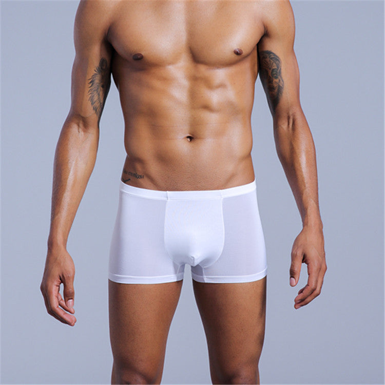 Translucent elastic comfortable boxer shorts