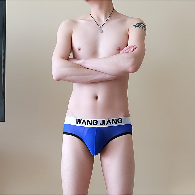 Breathable Mesh Men's Triangle Underwear