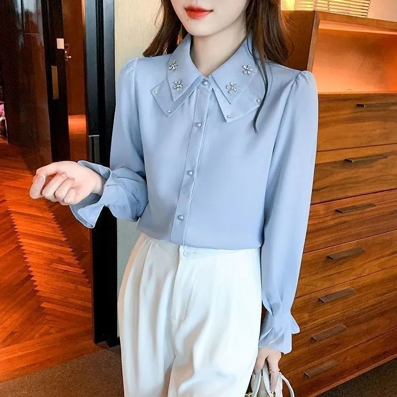 Chiffon Shirt